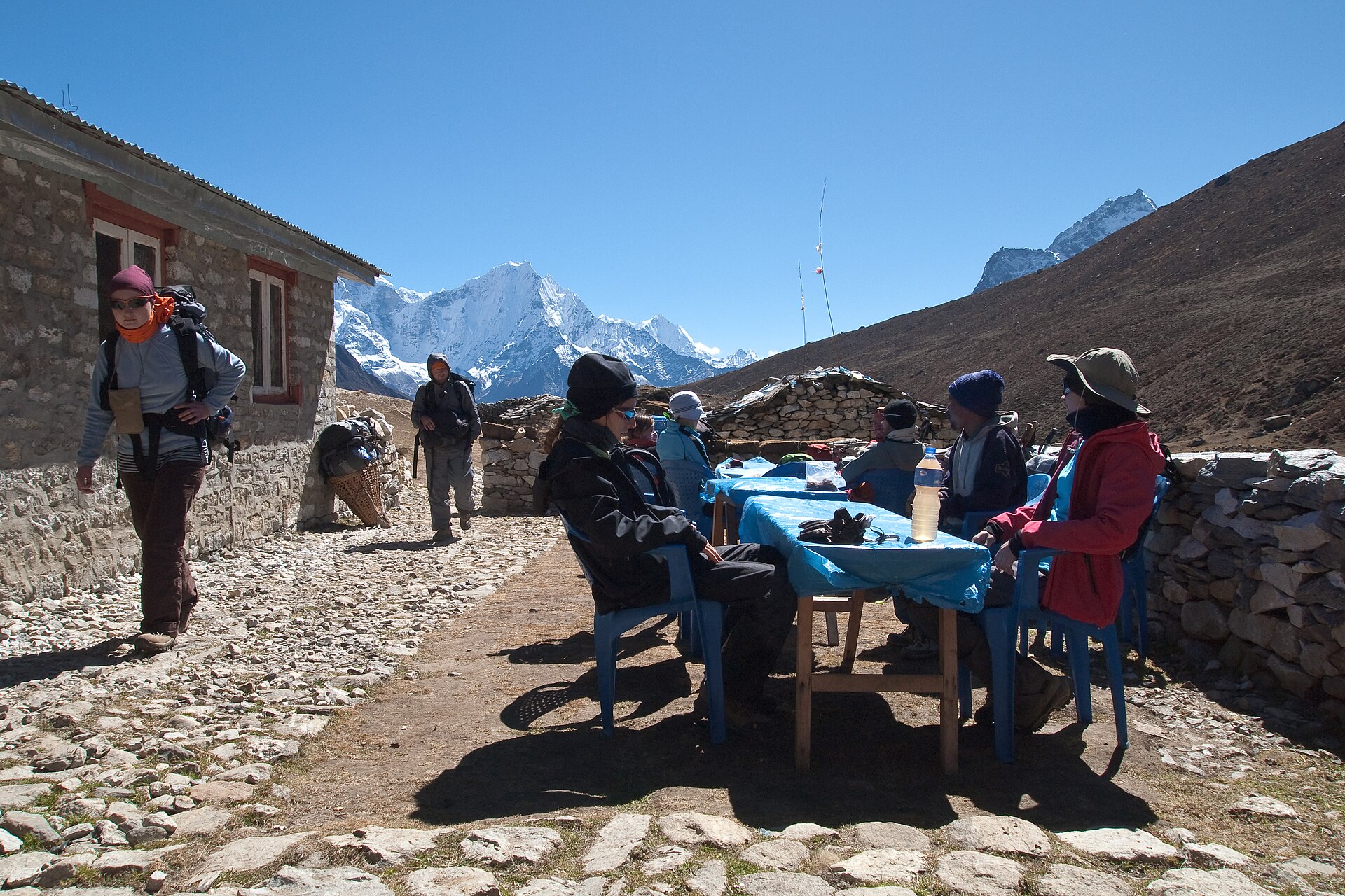 Team of travel specialists