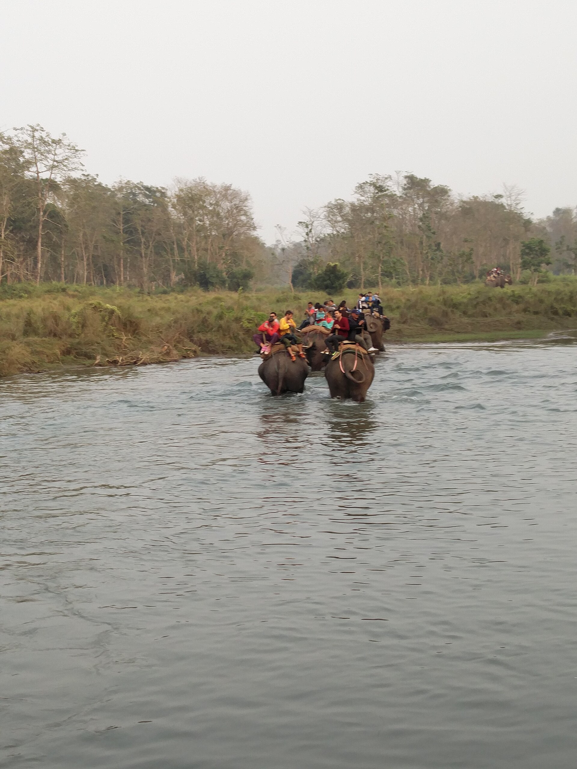Chitwan Safari Experience