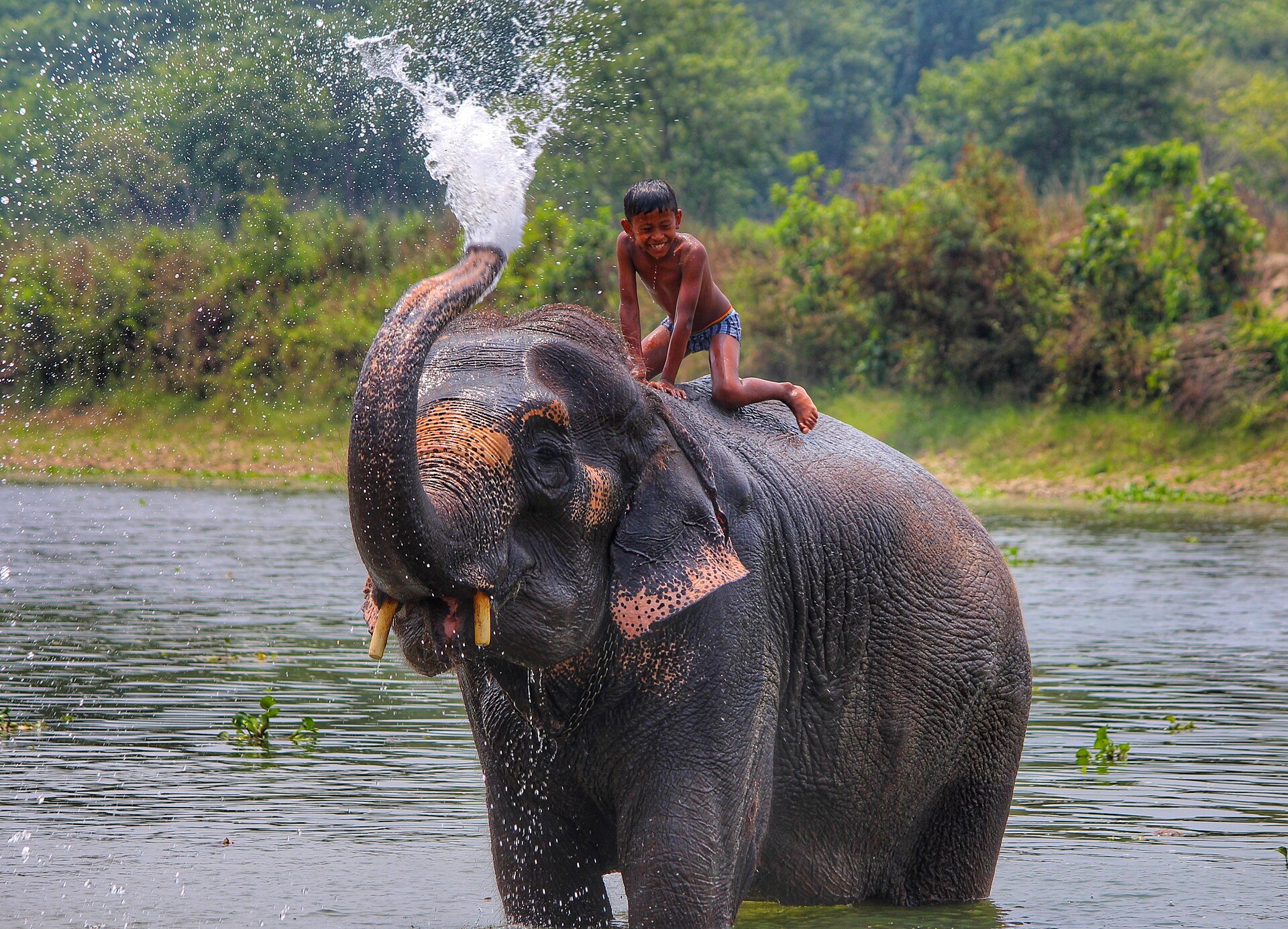 Chitwan Safari Experience gallery 2